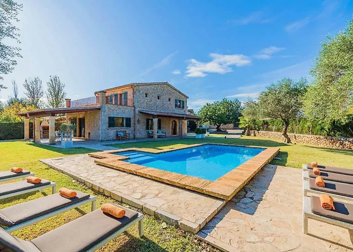 فيلة Font Xica Petit By Sealand