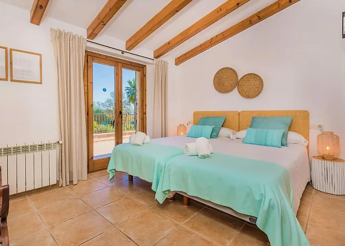 فيلة Font Xica Petit By Sealand