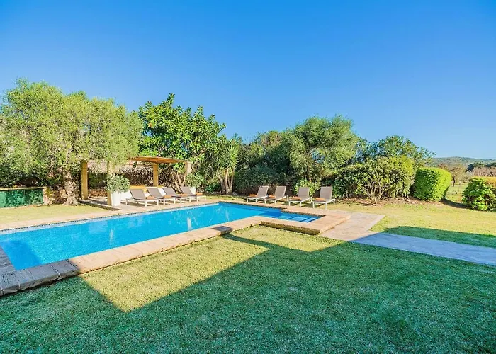 فيلة Font Xica Petit By Sealand *